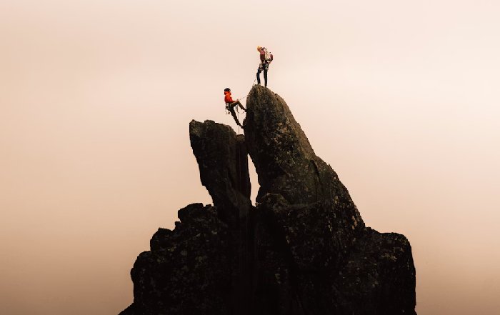 Article Image for Building Trust and Transparency in Leadership
