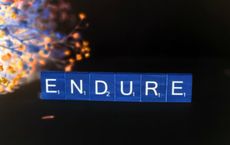 Article Image for Entrepreneurial Resilience: Turning Market Crashes into Growth Opportunities