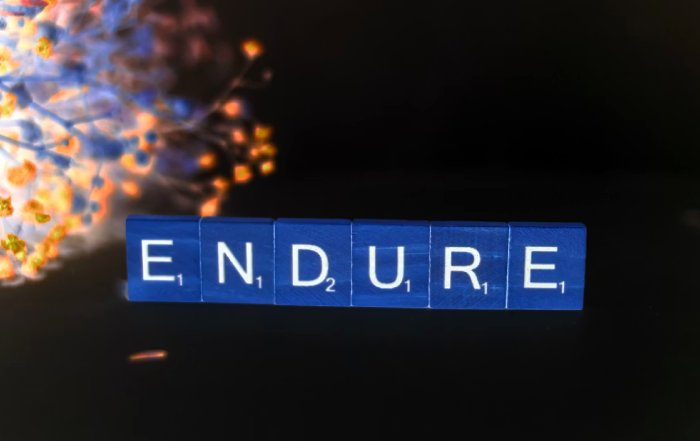 Article Image for Entrepreneurial Resilience: Turning Market Crashes into Growth Opportunities