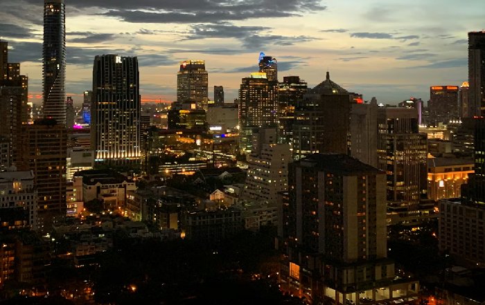 Article Image for Strategic Alliances in Emerging Economies: Lessons from South Africa and Thailand